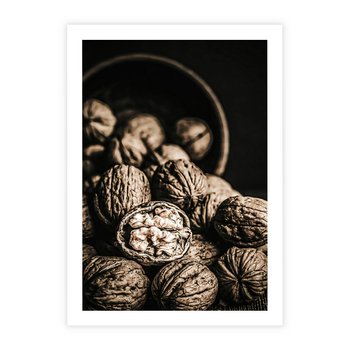 Plakat bez ramy 21x30 - Orzechy Włoskie w Sepii - orzechy włoskie, fotografia retro