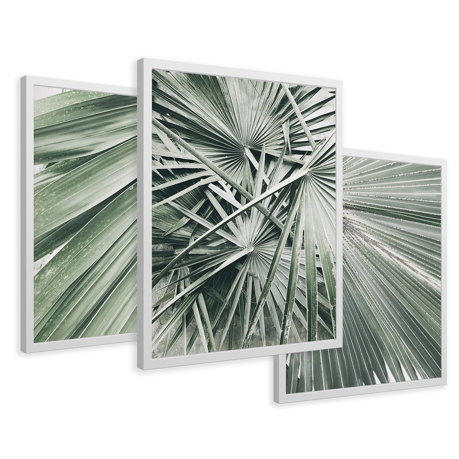 Zestaw obrazy w ramie 40x50 galeria - Palmy, liście, zielone - rama biała