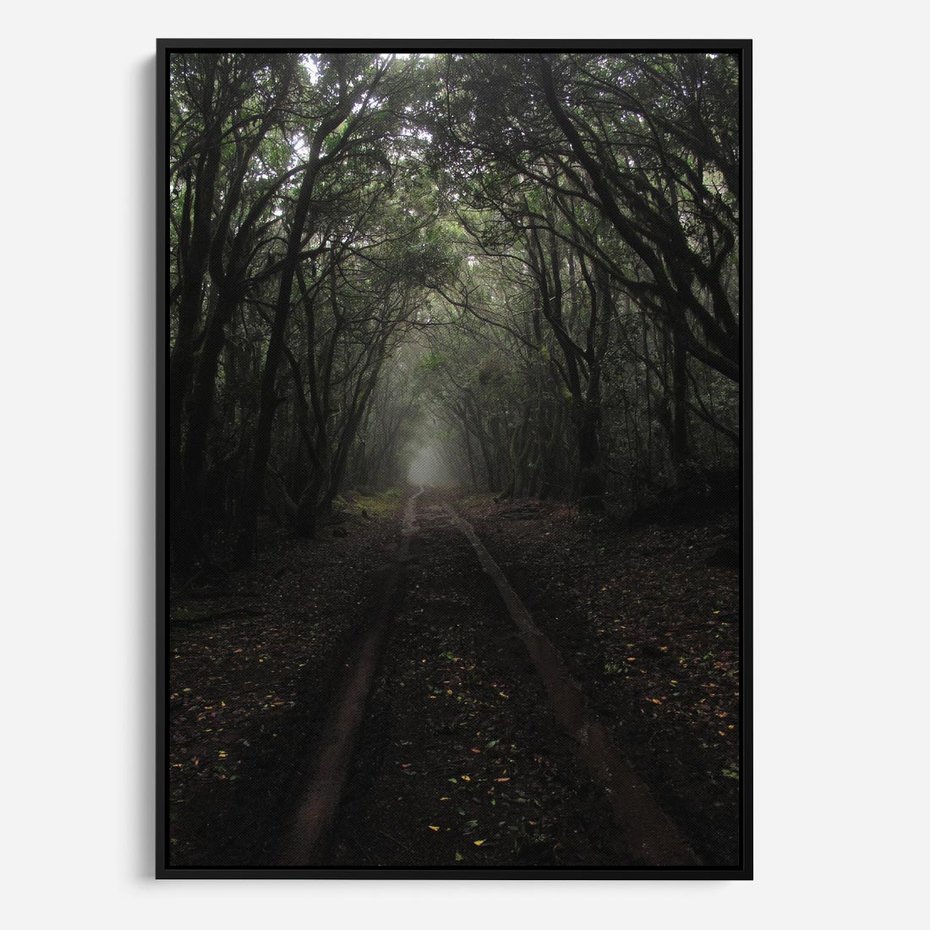 Obraz w ramie 50x70 - Urok Drogi - las, droga - rama czarna