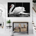 Obraz na płótnie 120x80 - Delikatne Uderzenie Skrzydeł Łabędzia - łabędź, ptak