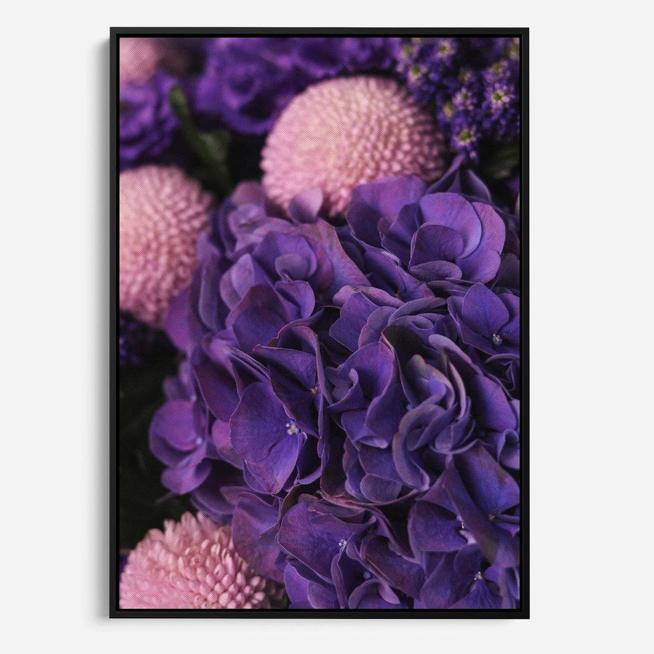 Obraz w ramie 50x70 - Fioletowa hortensja - kwiaty, hortensja - rama czarna