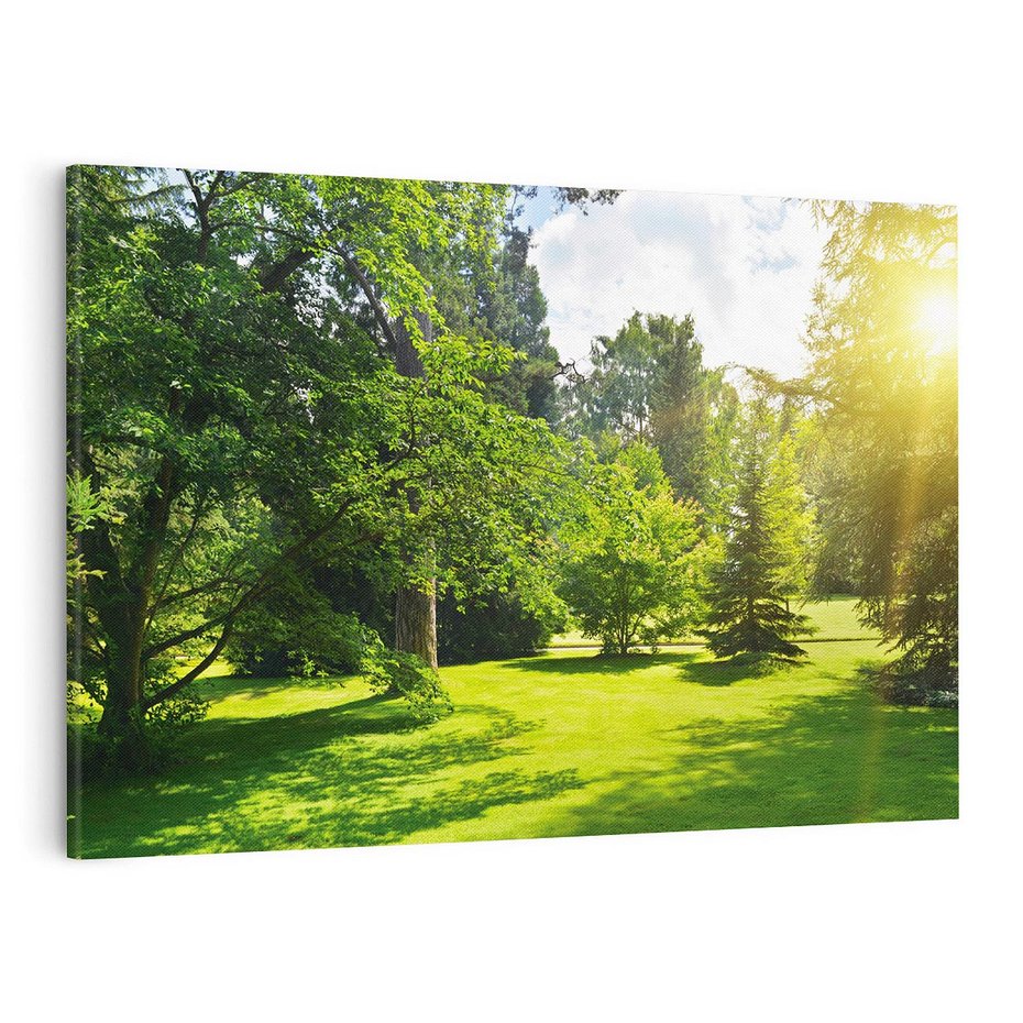 Obraz na płótnie 120x80 - Ogród: urok drzew i roślinności - ogród, drzewa