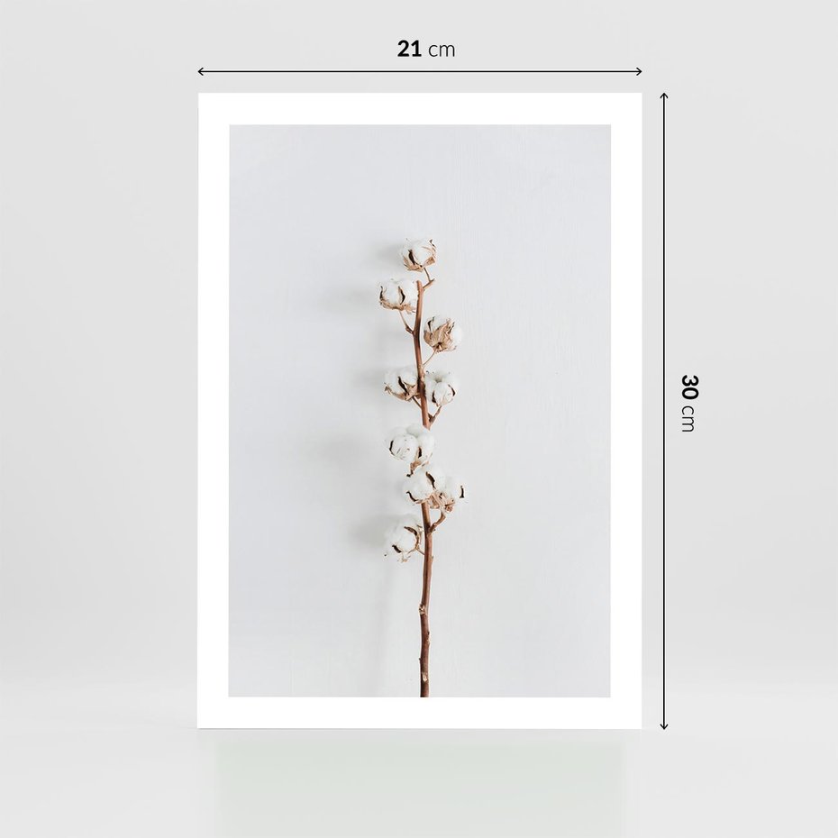 Plakat bez ramy 21x30 - Minimalistyczna Gałązka Bawełny - bawełna, gałązka bawełny