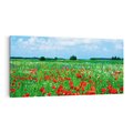 Obraz na płótnie 120x60 - Kolorowa łąka pełna maku - łąka, maki