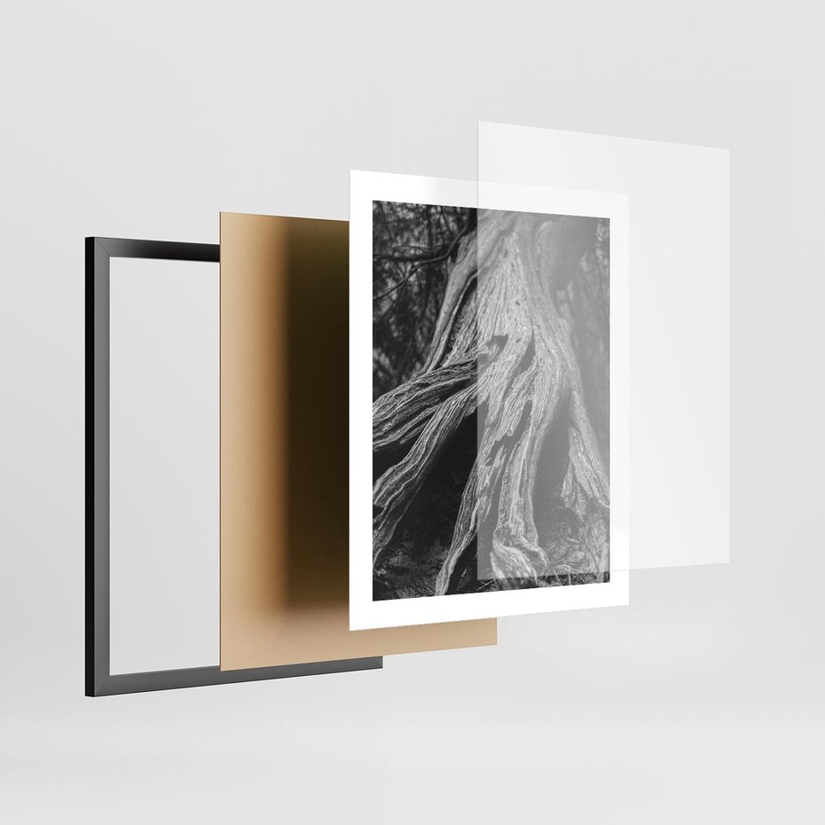 Plakat w ramie 40x50 - Siła Natury - czarno biała fotografia, korzenie wielkiego drzewa - rama czarna