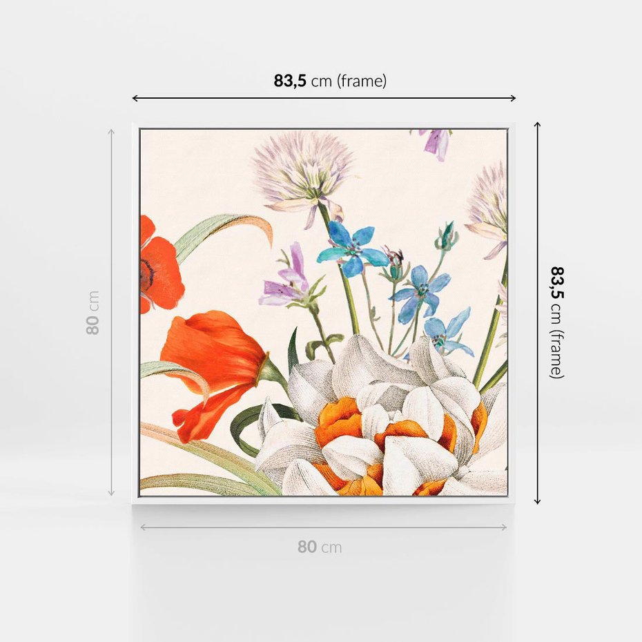Obraz w ramie 80x80 - Polne Kwiaty - polne kwiaty, na białym tle - rama biała