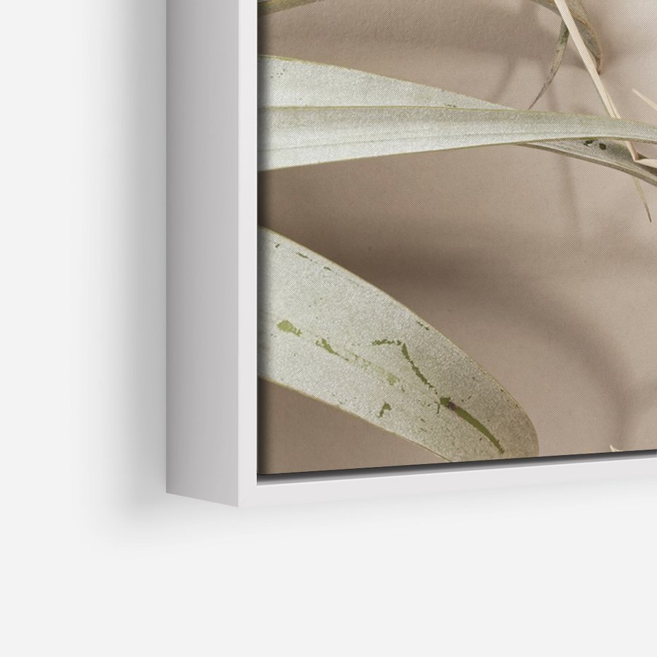 Obraz w ramie 70x100 - Boho urok suchych liści - suche, liście - rama biała