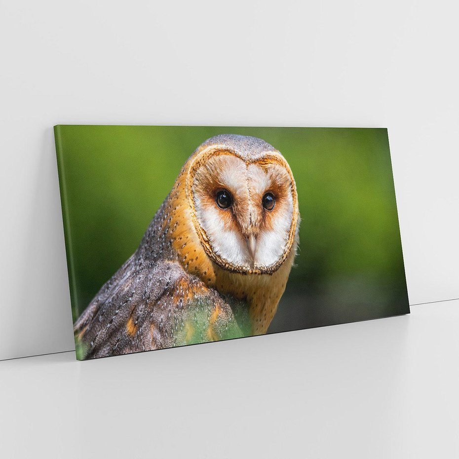 Obraz na płótnie 140x70 - Sowa nocą - sowa, ptak