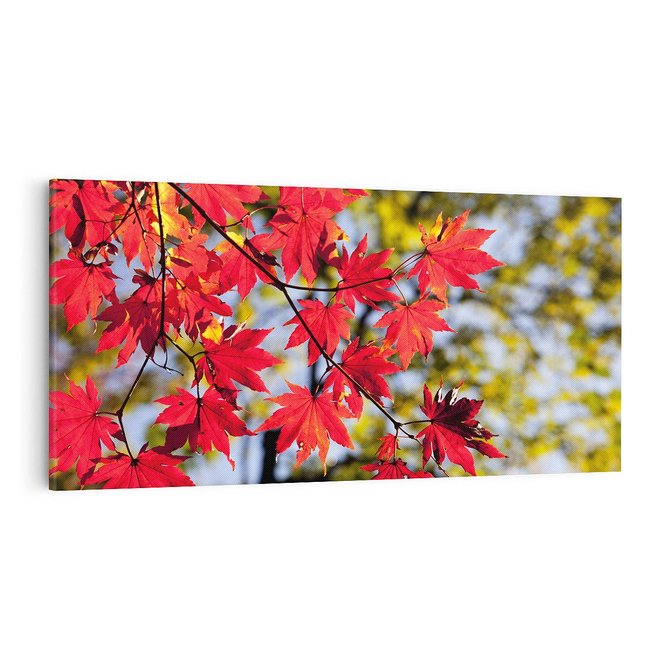 Obraz na płótnie 100x50 - Jesienny Urok Drzewa i Opadających Liści - drzewo, liście