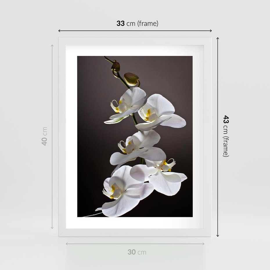 Plakat w ramie 30x40 - SPA: harmonia z kwiatami - spa, kwiaty - rama biała