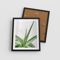 Plakat w ramie 40x50 - Zielone Piękno - aloes, liście - rama czarna