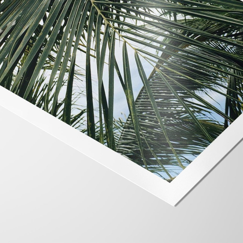 Plakat bez ramy 30x40 - Wakacyjna Magia - palmy, tropiki