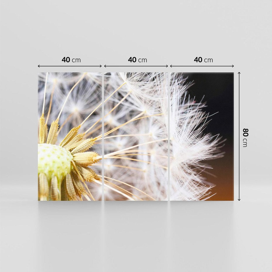 Obraz na płótnie 120x80 - Dmuchawiec: lekkość natury - dmuchawiec, natura