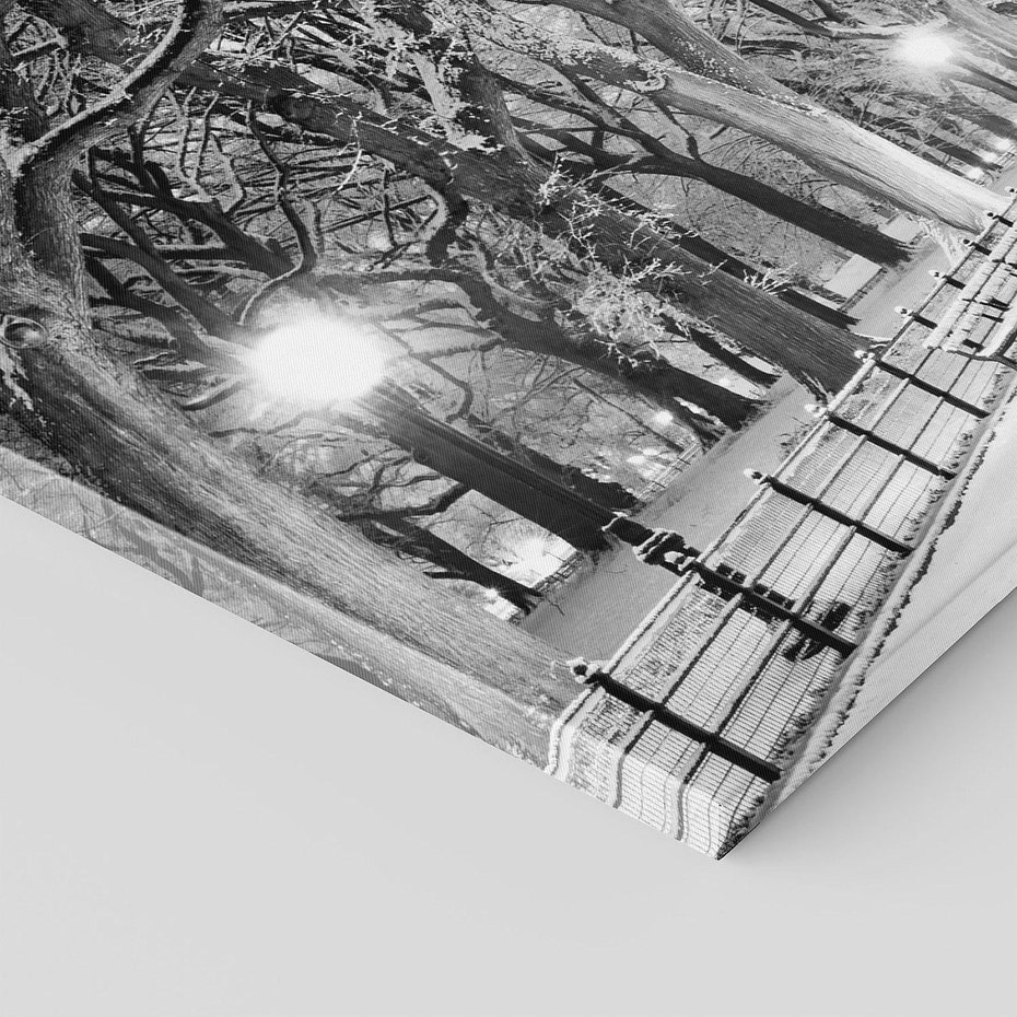 Obraz na płótnie 120x40 - cisza wśród drzew - zima, park