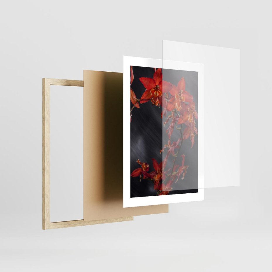 Plakat w ramie 30x40 - Kolorowy Raj - kwiaty, tropikalne - rama drewno