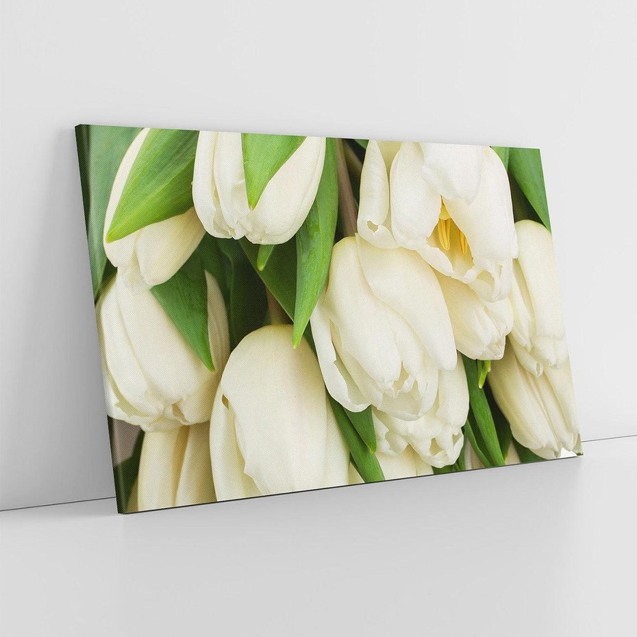 Obraz na płótnie 120x80 - Białe tulipany w pełnym rozkwicie - białe, tulipany