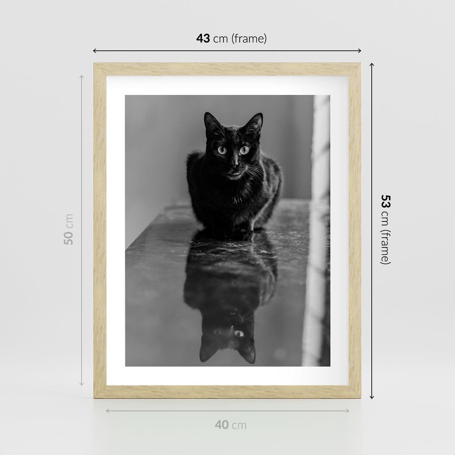 Plakat w ramie 40x50 - Kocie Oczy - kot, czarno białe zdjęcie - rama drewno