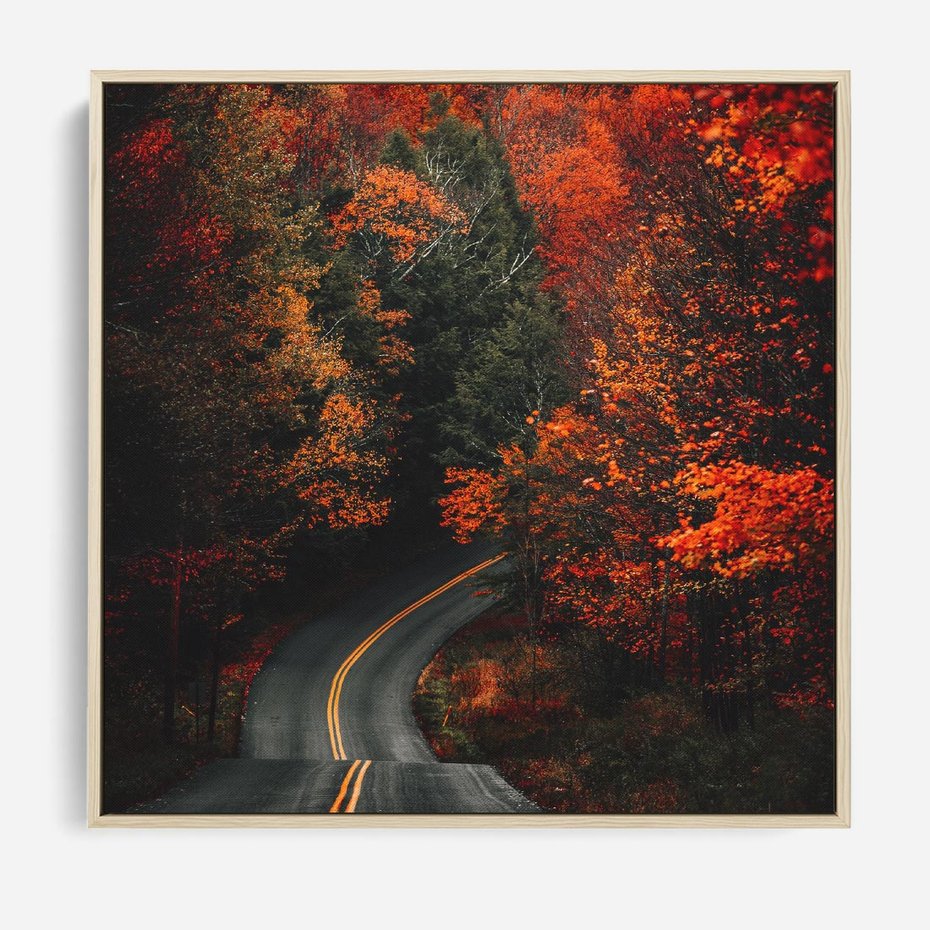 Obraz w ramie 80x80 - Jesienne Podróżowanie - fotografia, jesień - rama drewno