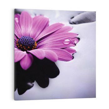 Obraz na płótnie 50x50 - kwiatowa harmonia - kwiat, SPA