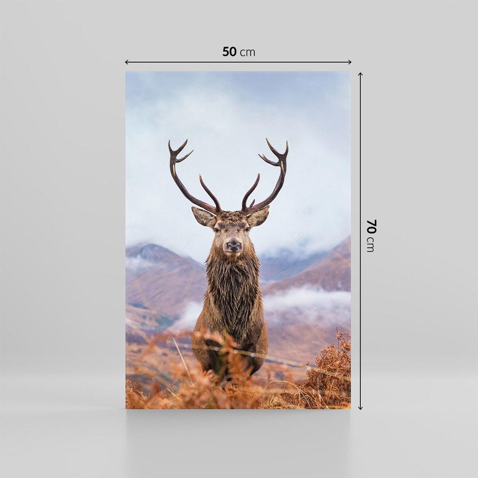 Obraz na płótnie 50x70 - Jeleń w Uśpionym Krajobrazie - jeleń na tle gór, ośnieżone góry