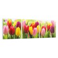 Obraz na płótnie 150x50 - delikatność kwiatowego świata - tulipany, kwiaty