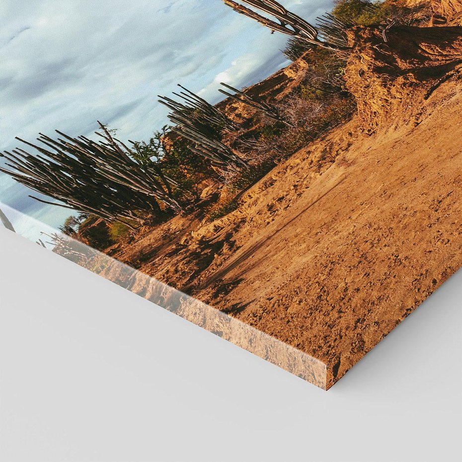 Obraz na płótnie 50x50 - Skarby Pustynnego Kanionu - pustynia, kaktusy