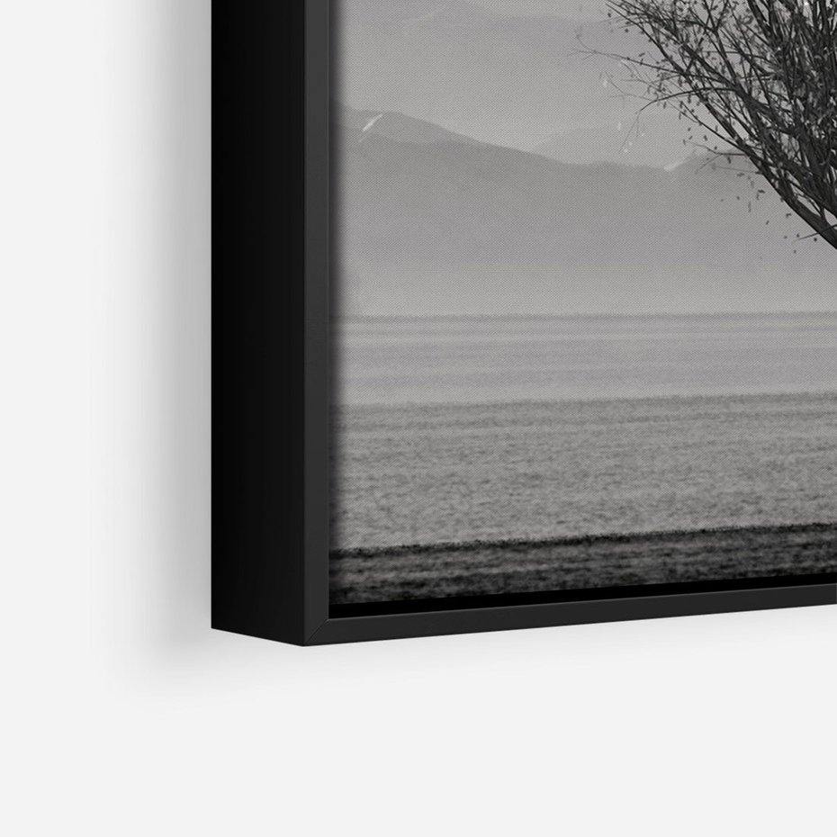 Obraz w ramie 50x70 - Samotne Drzewo - samotne drzewo w polu, czarno białe zdjęcie - rama czarna