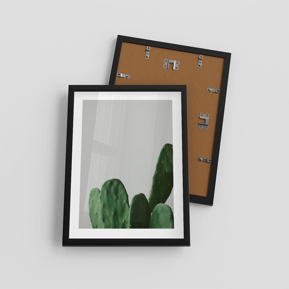 Plakat w ramie 30x40 - Majestatyczne Wysokości - kaktusy, liście - rama czarna