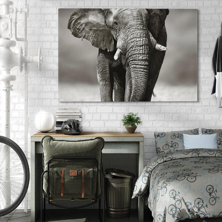 Obraz na płótnie 100x70 - Majestatyczny słoń Afryki - słoń, Afryka