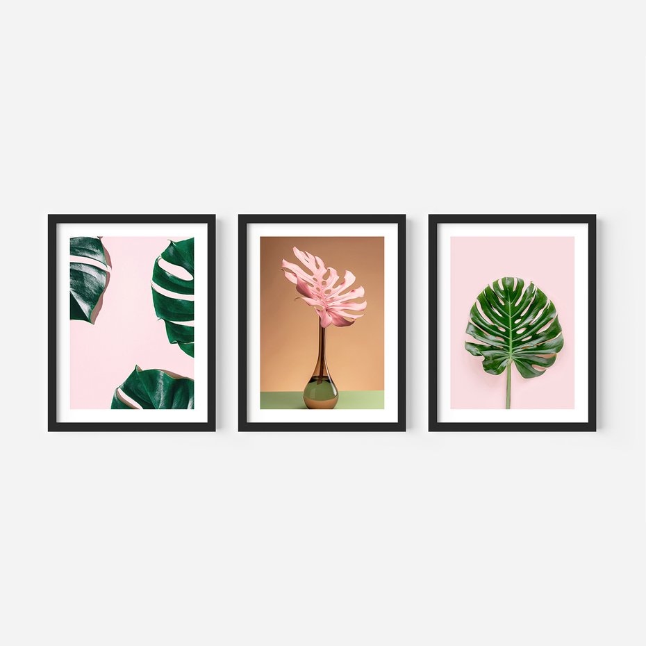 Zestaw obrazy w ramie 50x70 galeria - Monstera, liście, pastelowe, tło, tropikalne - rama czarna