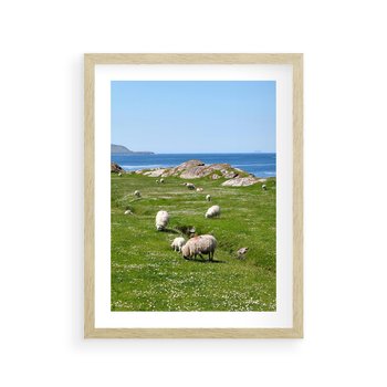Plakat w ramie 30x40 - Górskie Owce - góry, owce - rama drewno