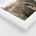 Plakat w ramie 40x50 - Łąka w Klimacie Sepii - suche trawy, łąka - rama biała