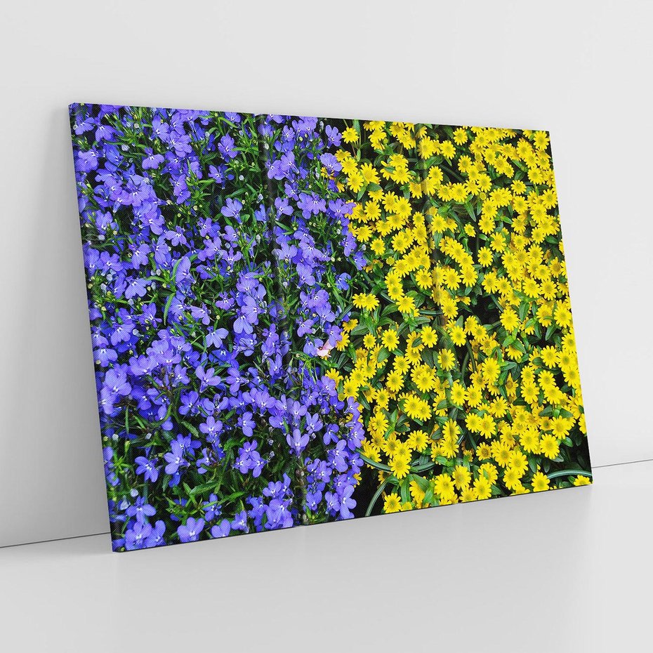 Obraz na płótnie 120x80 - Tulipanowe Elegancja - kwiat, kwiaty