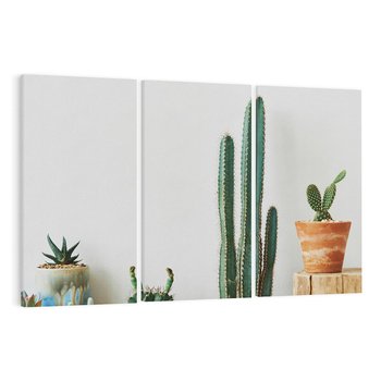 Obraz na płótnie 120x80 - Naturalna Harmonia - kaktusy, liście