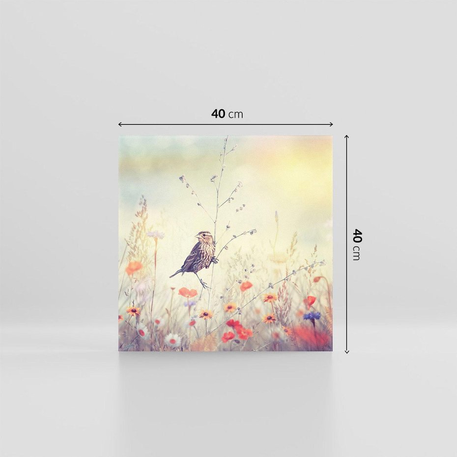 Obraz na płótnie 40x40 - Poranek wśród łąki - ptak, łąka