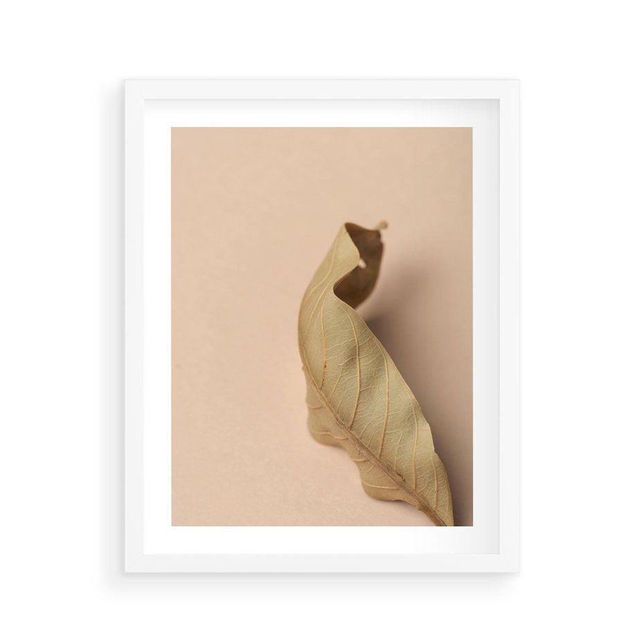 Plakat w ramie 40x50 - Boho suszone liście - suszony, liść - rama biała