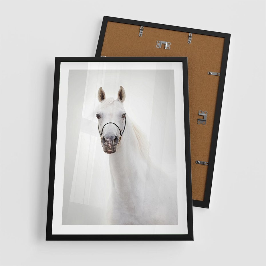 Plakat w ramie 50x70 - Elegancja białego konia - biały, koń - rama czarna