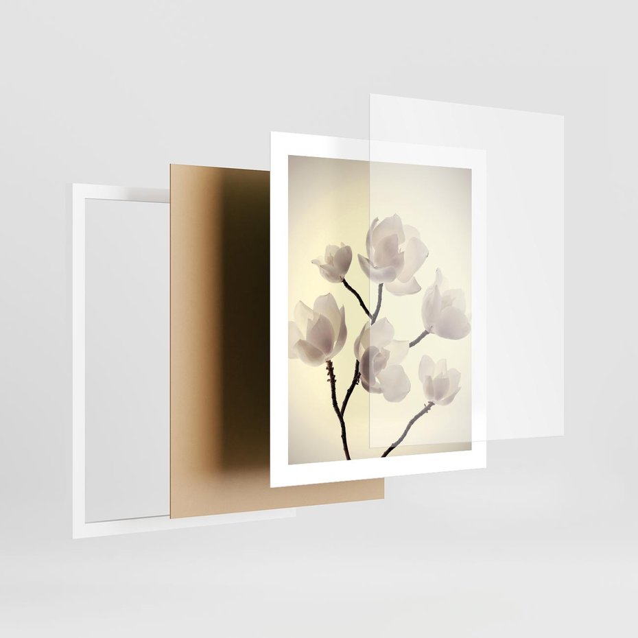 Plakat w ramie 40x50 - Elegancja Natury - magnolia, białe - rama biała