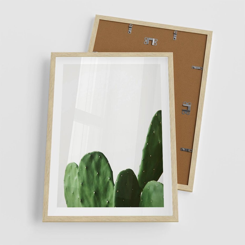 Plakat w ramie 50x70 - Minimalizm Natury - kaktus, zbliżenie - rama drewno