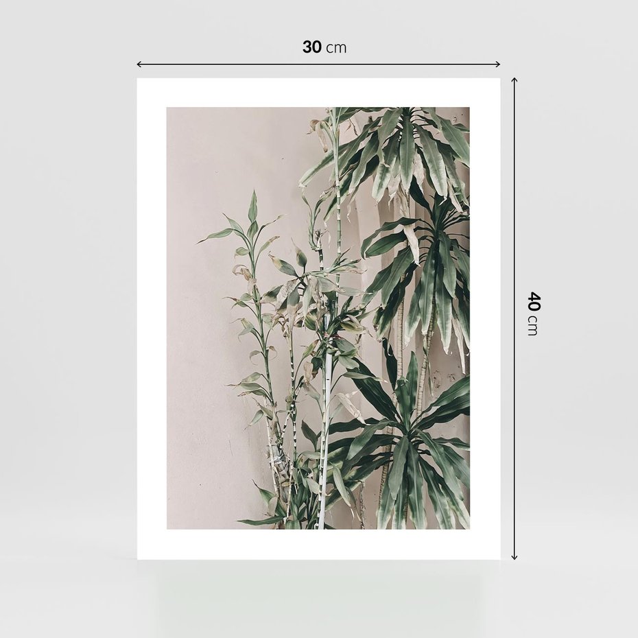 Plakat bez ramy 30x40 - Egzotyczna Kompozycja - liście, rośliny tropikalne na tle ściany