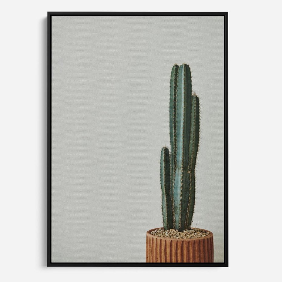 Obraz w ramie 70x100 - Zieleń i Subtelność - kaktusy, liście - rama czarna