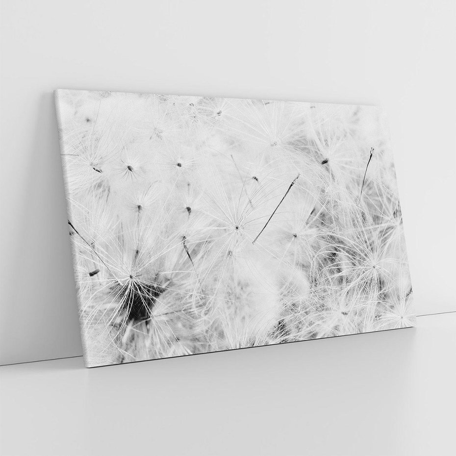 Obraz na płótnie 70x50 - Zdmuchnięty Puch - dmuchawce, delikatne