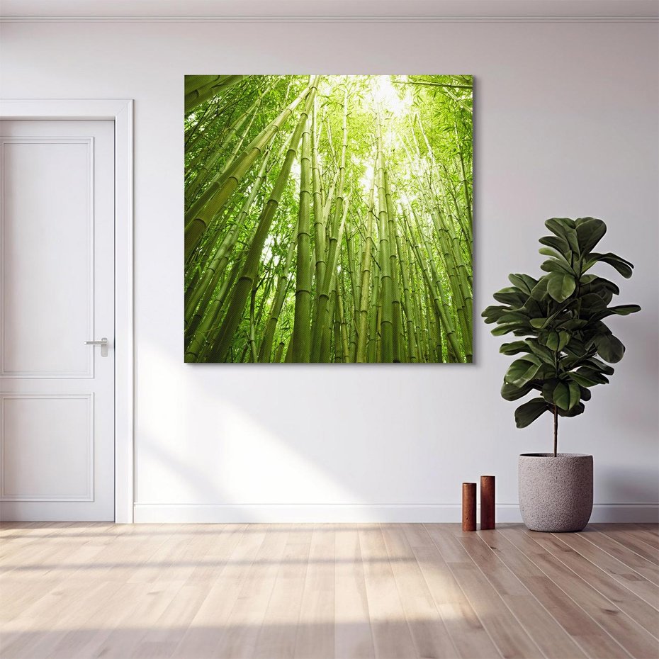 Obraz na płótnie 60x60 - Siła Natury - drzewa, las