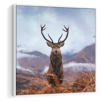 Obraz w ramie 50x50 - Jeleń w Uśpionym Krajobrazie - jeleń na tle gór, ośnieżone góry - rama biała