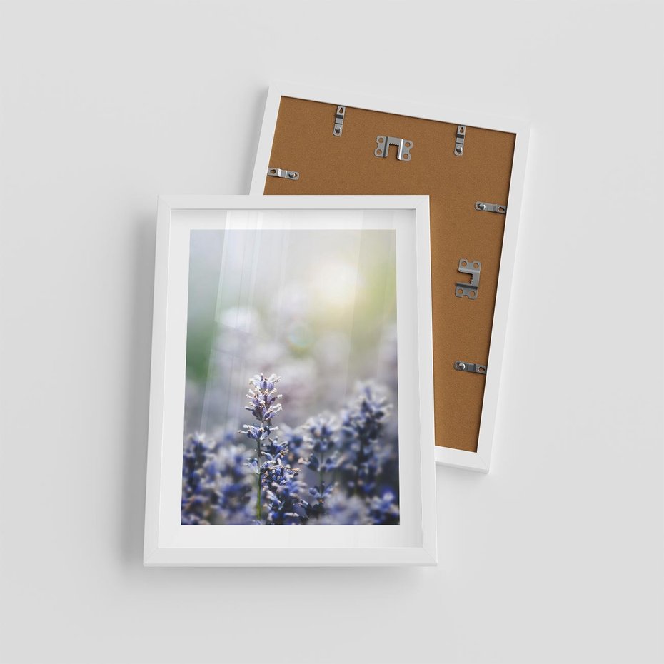 Plakat w ramie 30x40 - Delikatna Uroda Natury - wrzosy, fiolet - rama biała