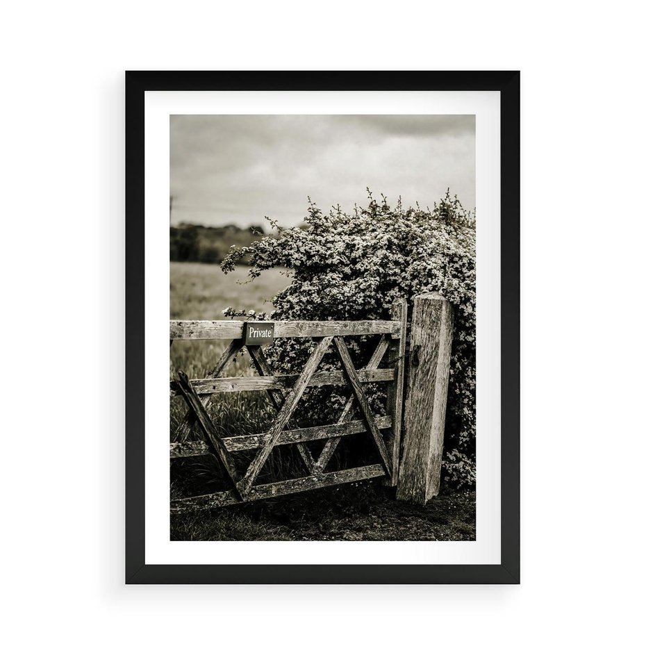 Plakat w ramie 50x70 - Wiejski Urok: Stary Płot i Kwitnący Krzew - rustykalne zdjęcie, stary płot - rama czarna