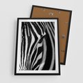 Plakat w ramie 50x70 - Pasy Zebr - zebra, paski - rama czarna