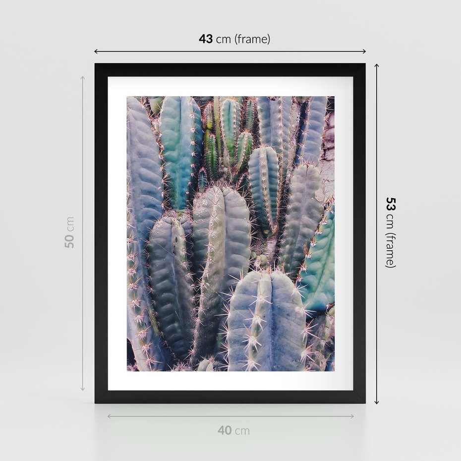 Plakat w ramie 40x50 - Kaktusowy Raj - kaktusy, dużo kaktusów - rama czarna