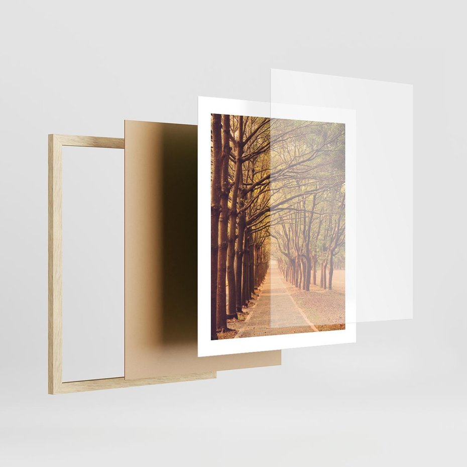 Plakat w ramie 40x50 - Wędrówka między drzewami - droga, drzewa - rama drewno