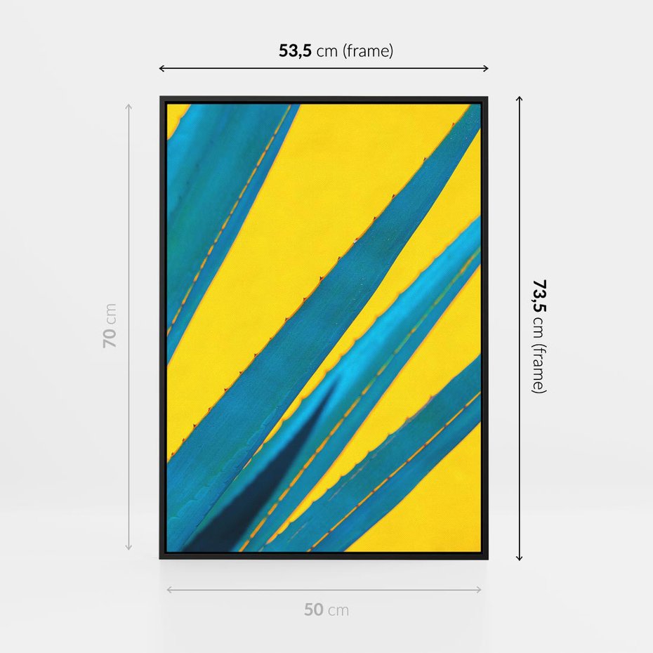 Obraz w ramie 50x70 - Świeżość Natury - aloes, liście - rama czarna